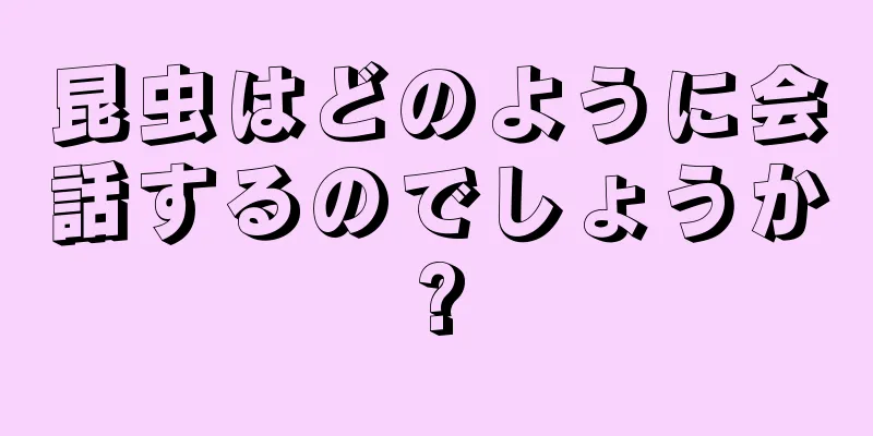 昆虫はどのように会話するのでしょうか?