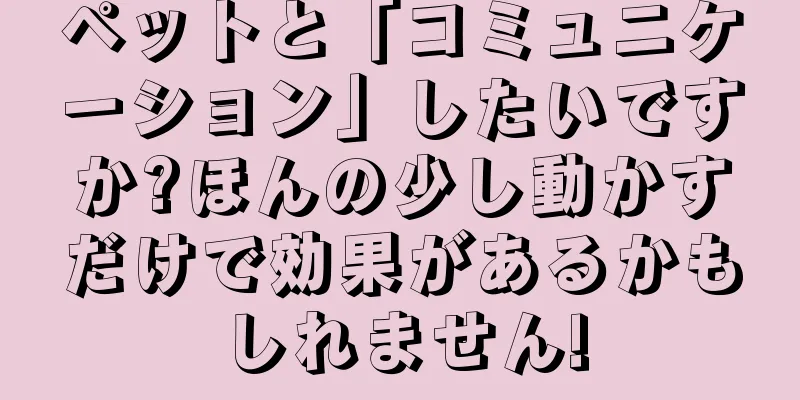 ペットと「コミュニケーション」したいですか?ほんの少し動かすだけで効果があるかもしれません!