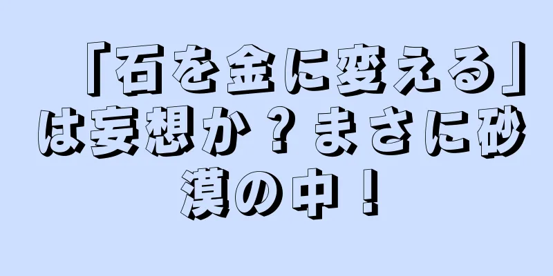 「石を金に変える」は妄想か？まさに砂漠の中！