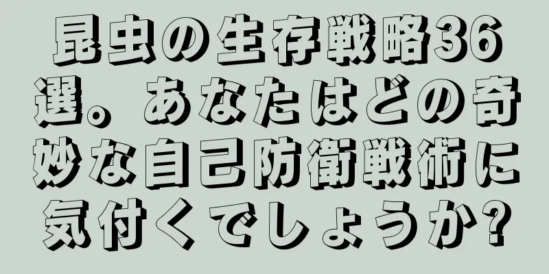 昆虫の生存戦略36選。あなたはどの奇妙な自己防衛戦術に気付くでしょうか?