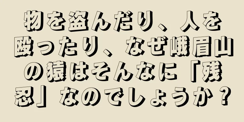 物を盗んだり、人を殴ったり、なぜ峨眉山の猿はそんなに「残忍」なのでしょうか？