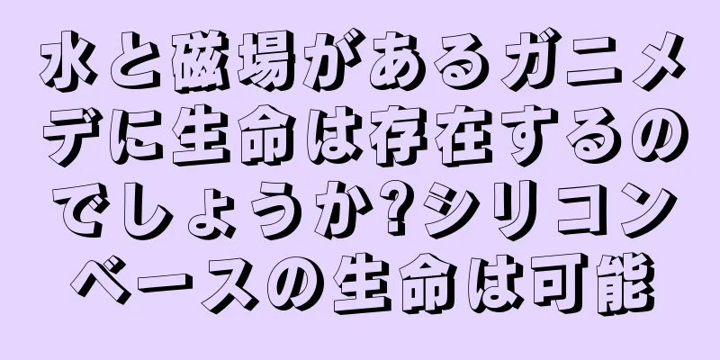 水と磁場があるガニメデに生命は存在するのでしょうか?シリコンベースの生命は可能