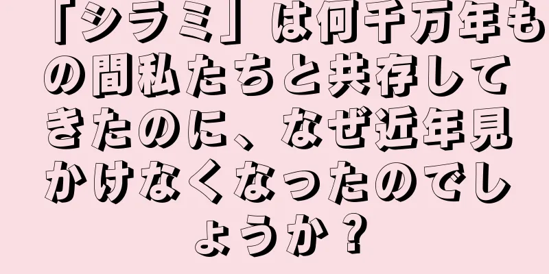 「シラミ」は何千万年もの間私たちと共存してきたのに、なぜ近年見かけなくなったのでしょうか？