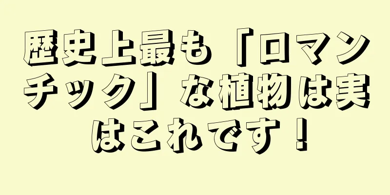 歴史上最も「ロマンチック」な植物は実はこれです！