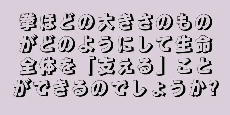 拳ほどの大きさのものがどのようにして生命全体を「支える」ことができるのでしょうか?
