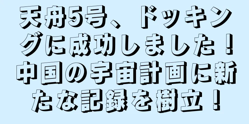 天舟5号、ドッキングに成功しました！中国の宇宙計画に新たな記録を樹立！