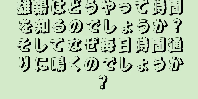 雄鶏はどうやって時間を知るのでしょうか？そしてなぜ毎日時間通りに鳴くのでしょうか？
