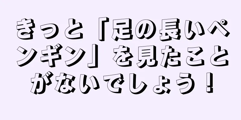 きっと「足の長いペンギン」を見たことがないでしょう！
