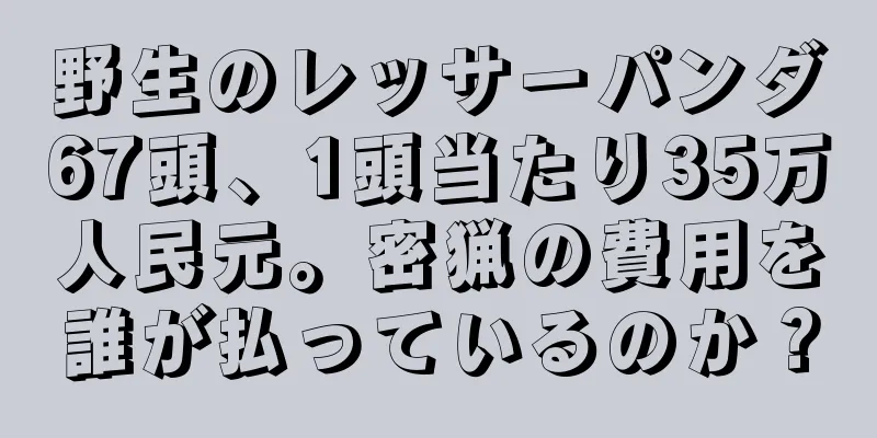 野生のレッサーパンダ67頭、1頭当たり35万人民元。密猟の費用を誰が払っているのか？
