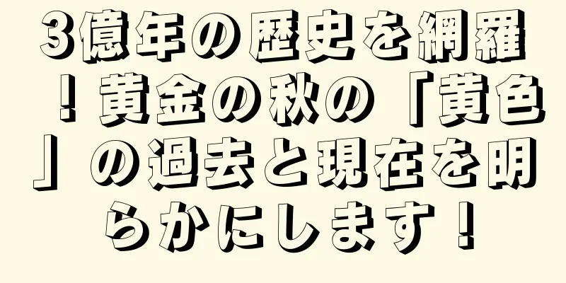 3億年の歴史を網羅！黄金の秋の「黄色」の過去と現在を明らかにします！