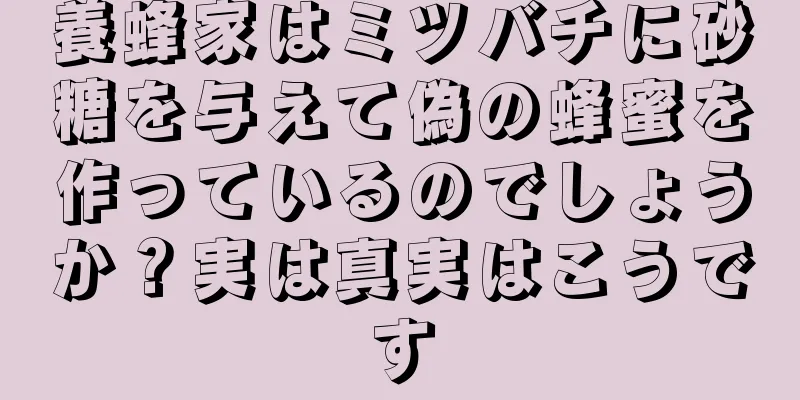 養蜂家はミツバチに砂糖を与えて偽の蜂蜜を作っているのでしょうか？実は真実はこうです
