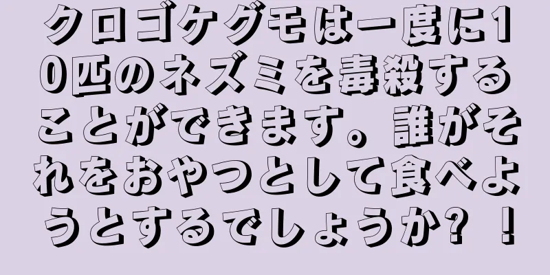 クロゴケグモは一度に10匹のネズミを毒殺することができます。誰がそれをおやつとして食べようとするでしょうか? ！