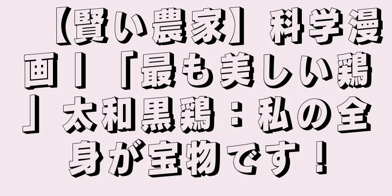 【賢い農家】科学漫画丨「最も美しい鶏」太和黒鶏：私の全身が宝物です！