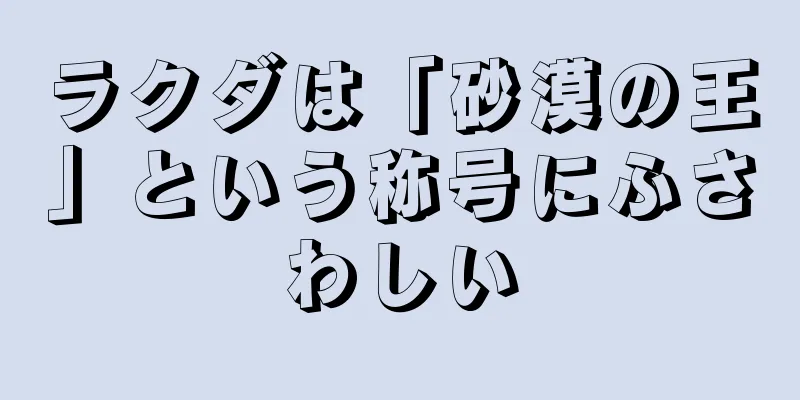 ラクダは「砂漠の王」という称号にふさわしい