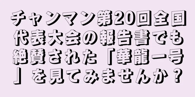 チャンマン第20回全国代表大会の報告書でも絶賛された「華龍一号」を見てみませんか？