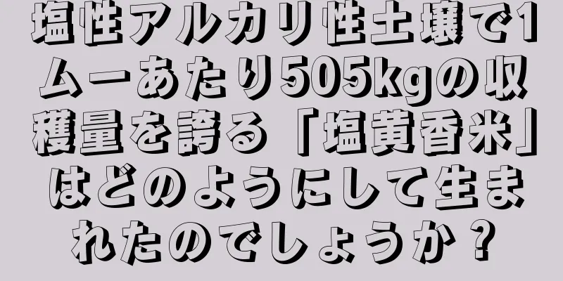 塩性アルカリ性土壌で1ムーあたり505kgの収穫量を誇る「塩黄香米」はどのようにして生まれたのでしょうか？