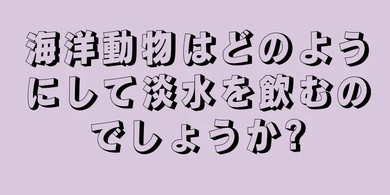 海洋動物はどのようにして淡水を飲むのでしょうか?