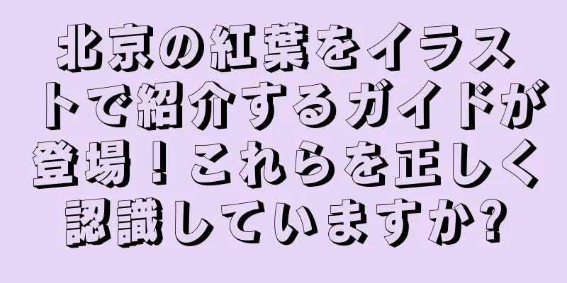 北京の紅葉をイラストで紹介するガイドが登場！これらを正しく認識していますか?