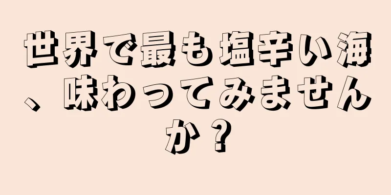 世界で最も塩辛い海、味わってみませんか？