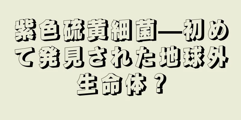 紫色硫黄細菌—初めて発見された地球外生命体？