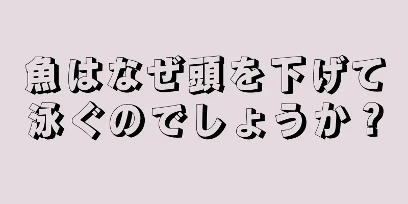 魚はなぜ頭を下げて泳ぐのでしょうか？