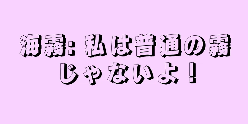 海霧: 私は普通の霧じゃないよ！