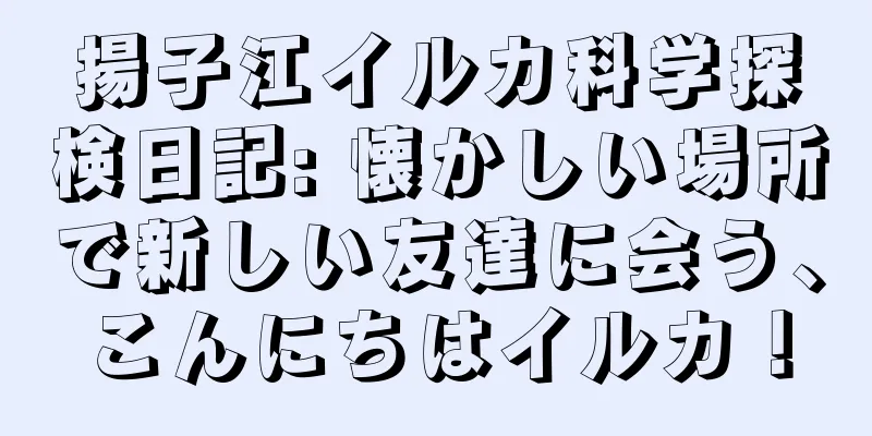 揚子江イルカ科学探検日記: 懐かしい場所で新しい友達に会う、こんにちはイルカ！