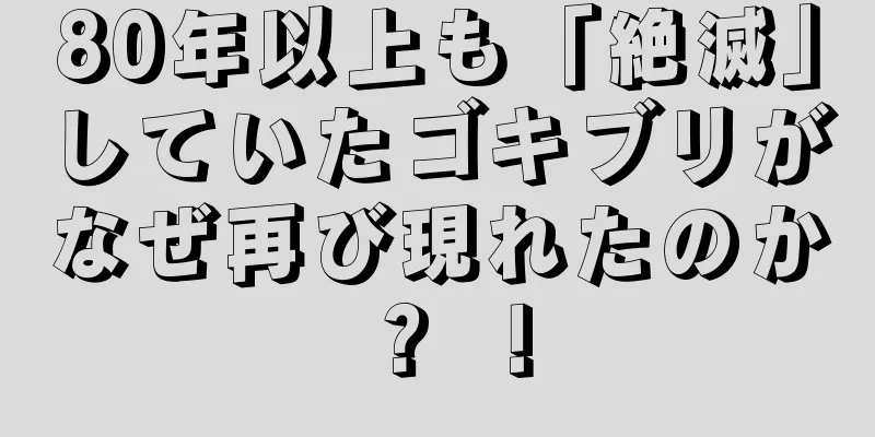 80年以上も「絶滅」していたゴキブリがなぜ再び現れたのか？ ！
