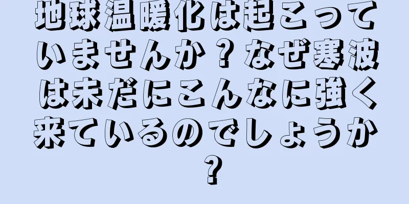 地球温暖化は起こっていませんか？なぜ寒波は未だにこんなに強く来ているのでしょうか？