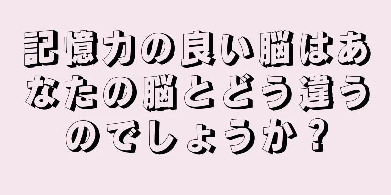 記憶力の良い脳はあなたの脳とどう違うのでしょうか？