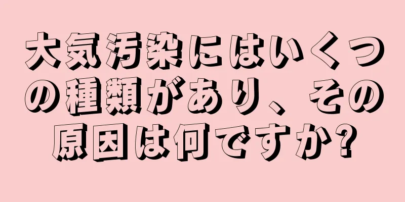 大気汚染にはいくつの種類があり、その原因は何ですか?