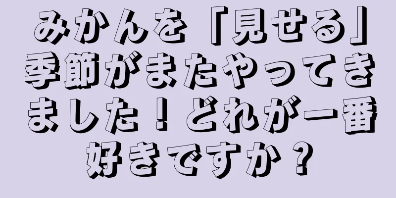 みかんを「見せる」季節がまたやってきました！どれが一番好きですか？