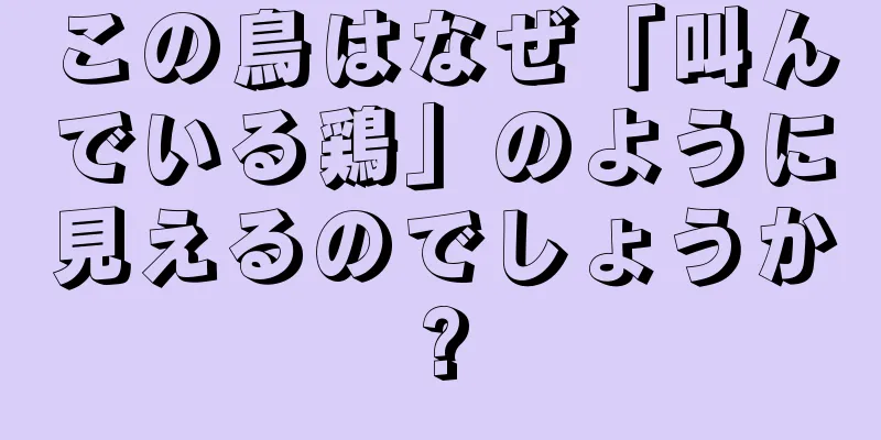 この鳥はなぜ「叫んでいる鶏」のように見えるのでしょうか?
