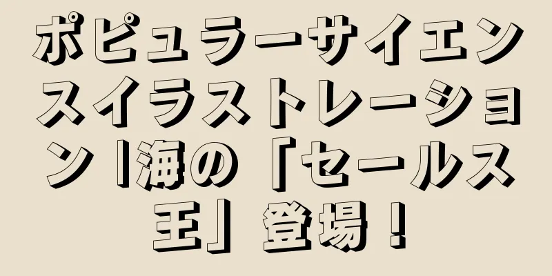 ポピュラーサイエンスイラストレーション |海の「セールス王」登場！