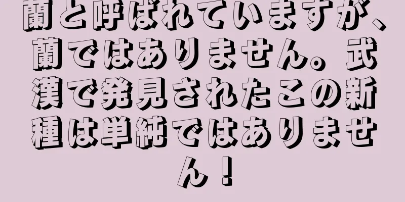 蘭と呼ばれていますが、蘭ではありません。武漢で発見されたこの新種は単純ではありません！