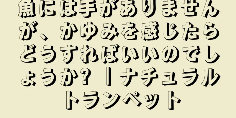 魚には手がありませんが、かゆみを感じたらどうすればいいのでしょうか? ｜ナチュラルトランペット