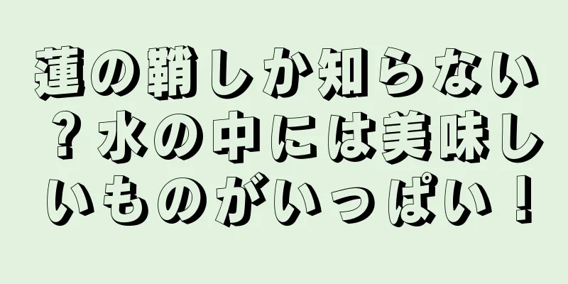 蓮の鞘しか知らない？水の中には美味しいものがいっぱい！