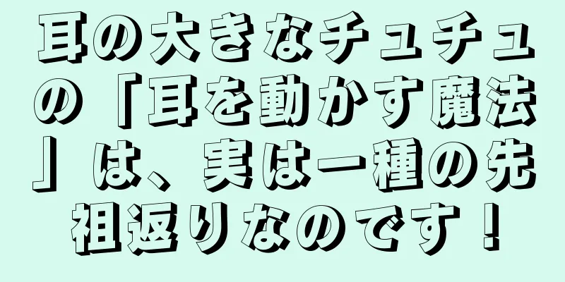 耳の大きなチュチュの「耳を動かす魔法」は、実は一種の先祖返りなのです！