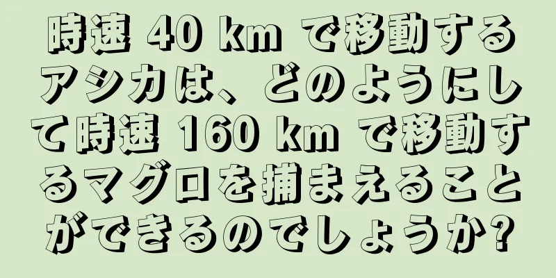時速 40 km で移動するアシカは、どのようにして時速 160 km で移動するマグロを捕まえることができるのでしょうか?