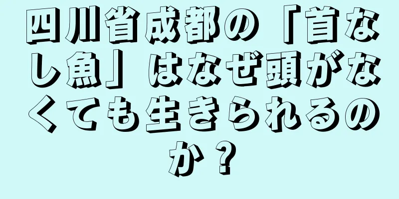 四川省成都の「首なし魚」はなぜ頭がなくても生きられるのか？