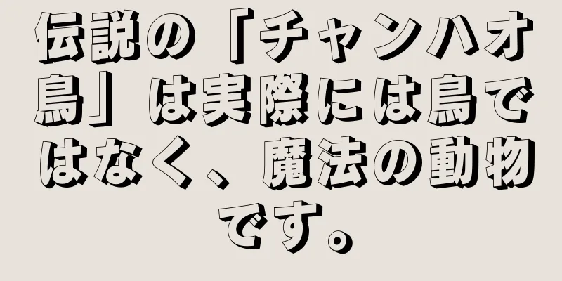伝説の「チャンハオ鳥」は実際には鳥ではなく、魔法の動物です。
