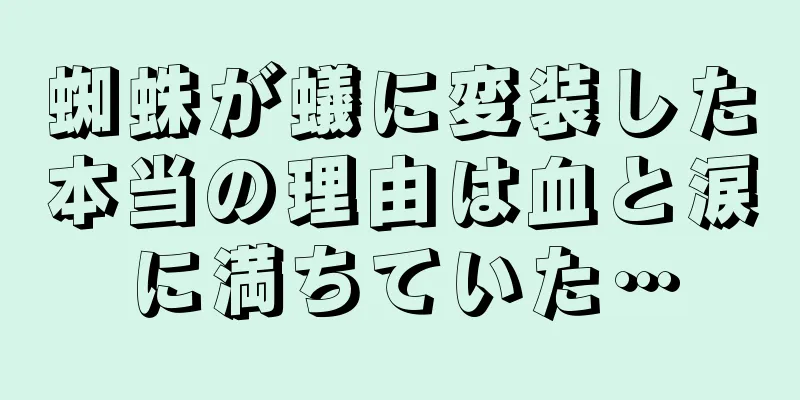 蜘蛛が蟻に変装した本当の理由は血と涙に満ちていた…