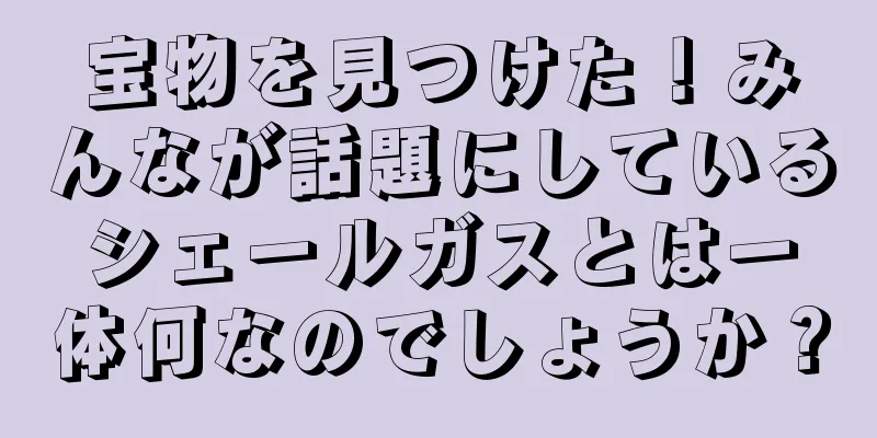 宝物を見つけた！みんなが話題にしているシェールガスとは一体何なのでしょうか？