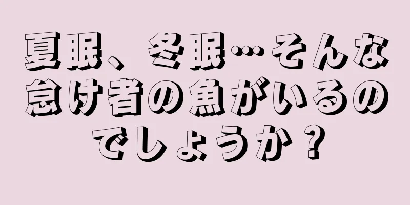夏眠、冬眠…そんな怠け者の魚がいるのでしょうか？