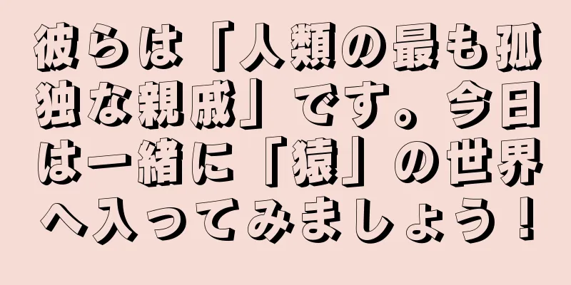 彼らは「人類の最も孤独な親戚」です。今日は一緒に「猿」の世界へ入ってみましょう！