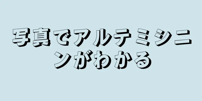 写真でアルテミシニンがわかる