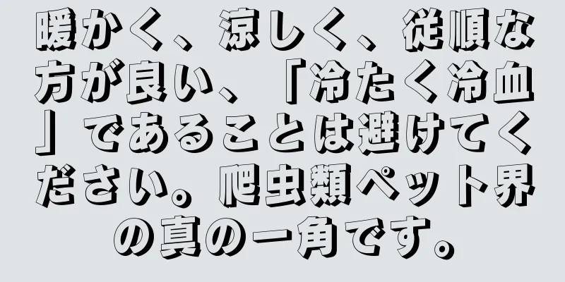 暖かく、涼しく、従順な方が良い、「冷たく冷血」であることは避けてください。爬虫類ペット界の真の一角です。