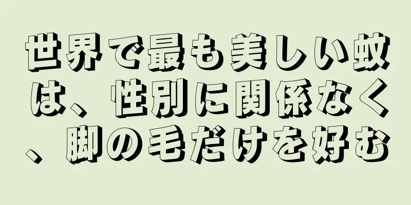 世界で最も美しい蚊は、性別に関係なく、脚の毛だけを好む