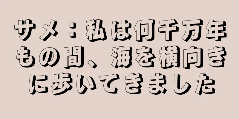 サメ：私は何千万年もの間、海を横向きに歩いてきました