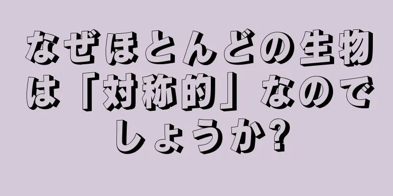 なぜほとんどの生物は「対称的」なのでしょうか?